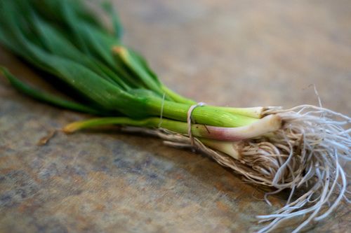 spring-garlic