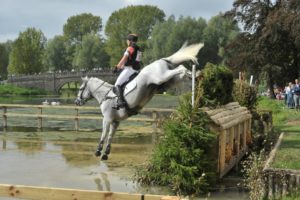 injury prone sports - equestrian