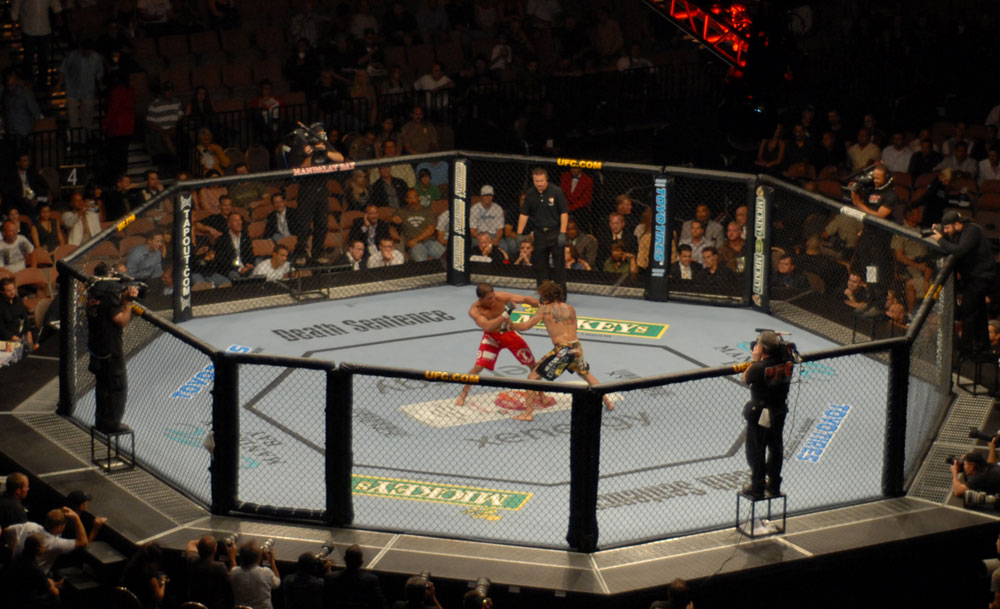 History of the UFC 2001-2010
