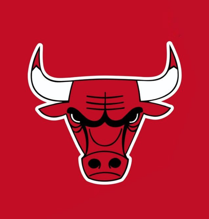 The hugely popular Chicago Bulls Logo