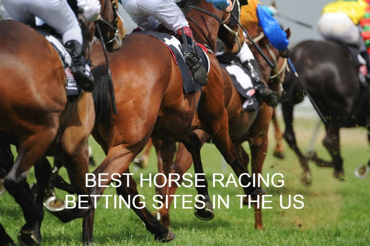 usa horse racing online betting sites